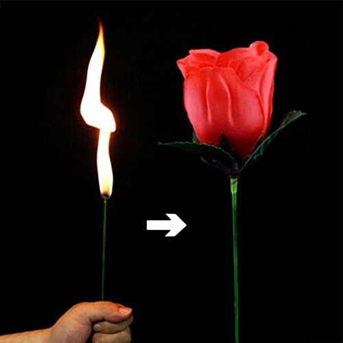 🔥Nieuw binnen 2025🔥Magic Rose - Torch to Rose💖