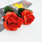 🔥Nieuw binnen 2025🔥Magic Rose - Torch to Rose💖
