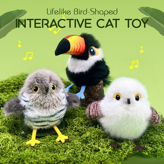 🔥Bestverkocht: Halve Prijs🔥Levensecht interactief kattenspeeltje in de vorm van een vogel