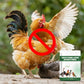 🔥200g Pluimvee Anti-Pikpoeder – Stop Verenpullen & Kannibalisme bij Vogels 🐔✨