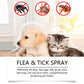 💜LAATSTE DAG - KOOP 2, KRIJG 1 GRATIS💜Meer dan 50.000 verkocht!✨🐶🐱Natuurlijke vlooien- en tekenspray voor honden en katten