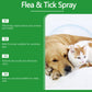 💜LAATSTE DAG - KOOP 2, KRIJG 1 GRATIS💜Meer dan 50.000 verkocht!✨🐶🐱Natuurlijke vlooien- en tekenspray voor honden en katten